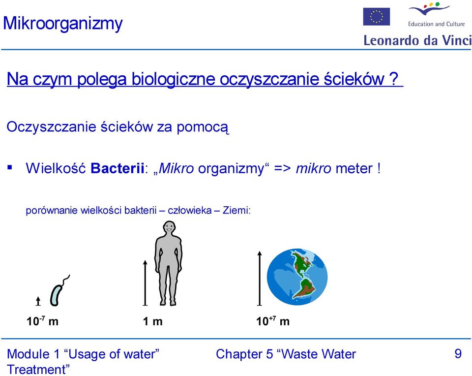 Oczyszczanie ścieków za pomocą Wielkość Bacterii: