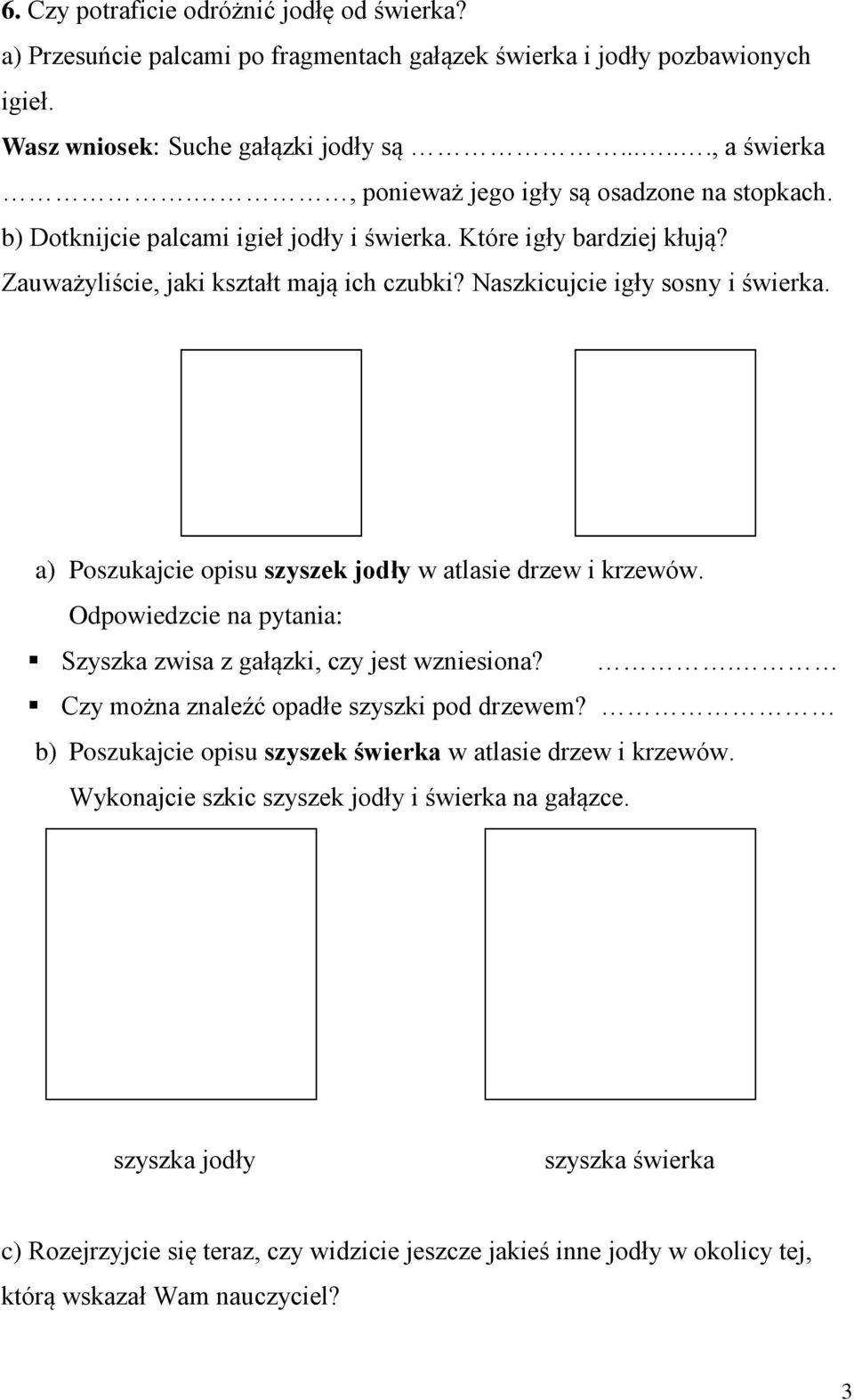 igła jodły igła świerka a) Poszukajcie opisu szyszek jodły w atlasie drzew i krzewów. Odpowiedzcie na pytania: Szyszka zwisa z gałązki, czy jest wzniesiona?