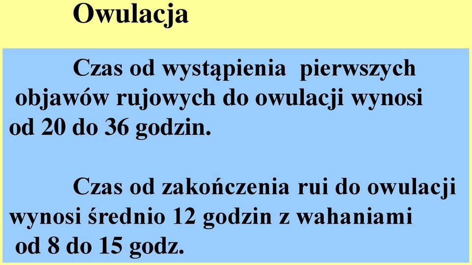 36 godzin.