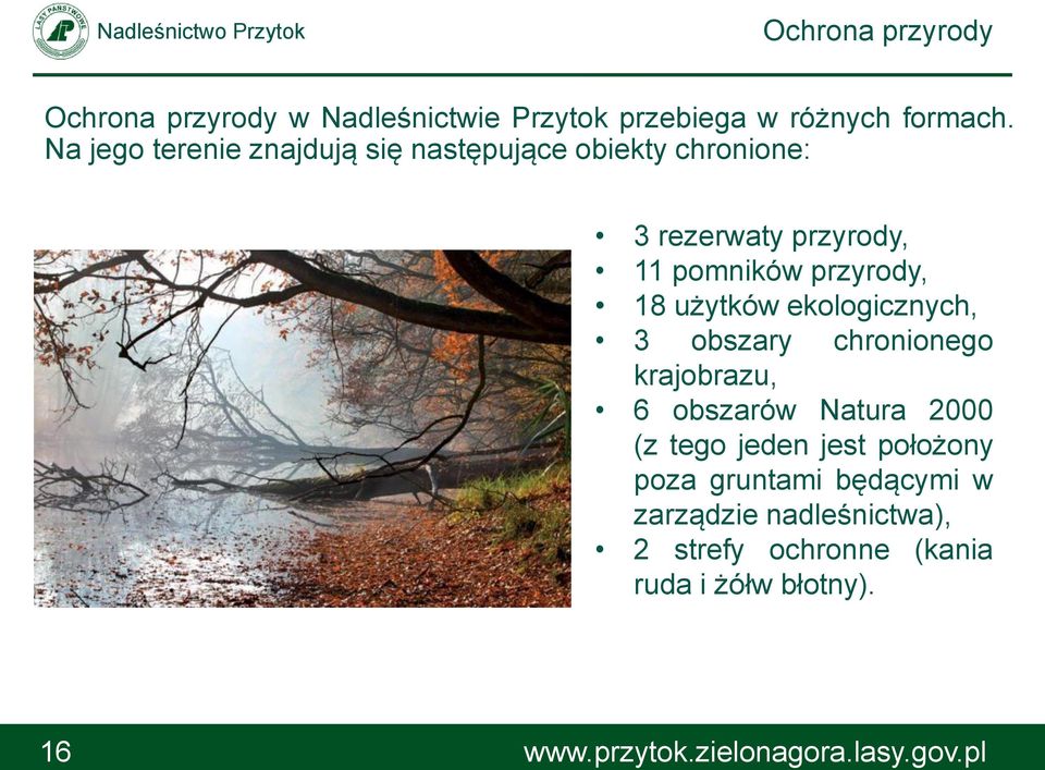 przyrody, 18 użytków ekologicznych, 3 obszary chronionego krajobrazu, 6 obszarów Natura 2000 (z