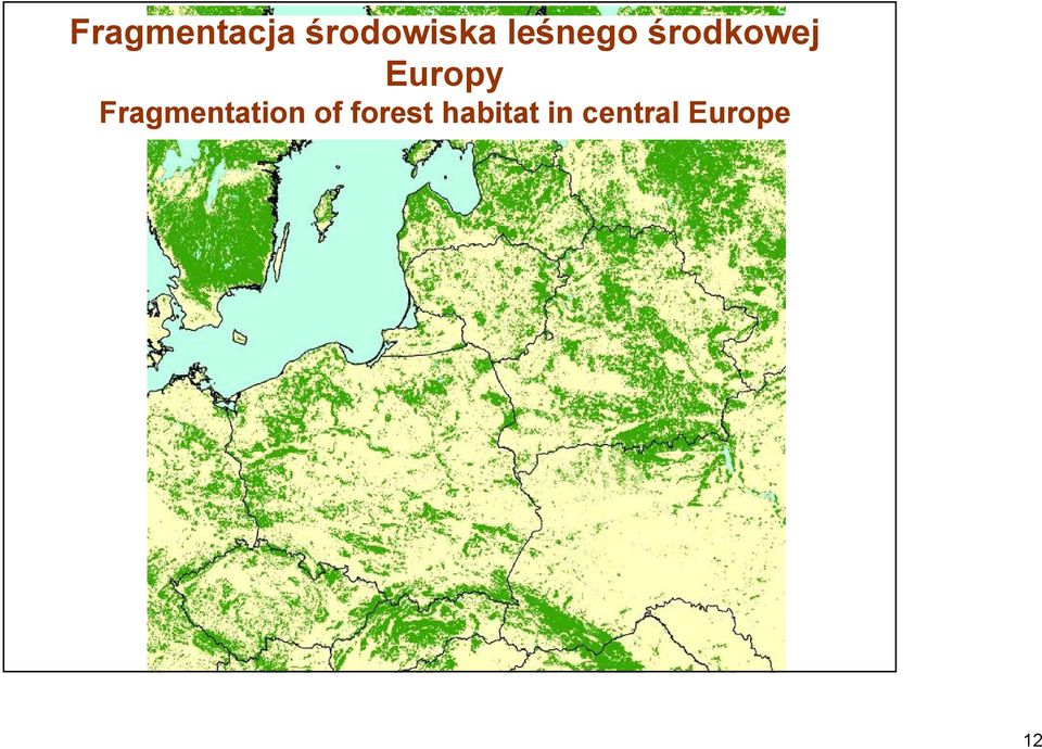 Fragmentation of forest