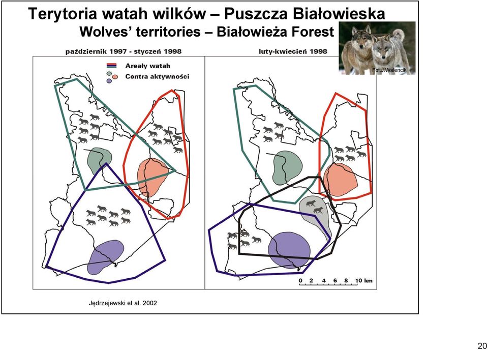 Białowieża Forest Fot.J.