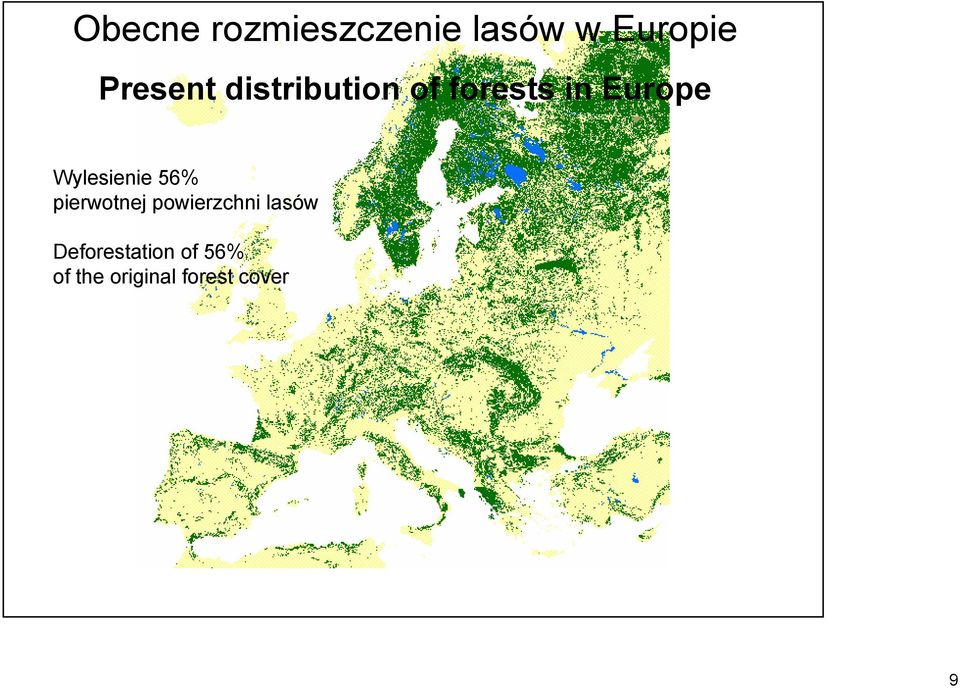 Wylesienie 56% pierwotnej powierzchni lasów