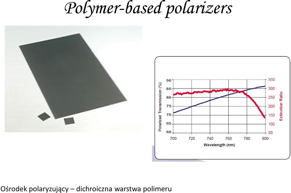 polaryzujący