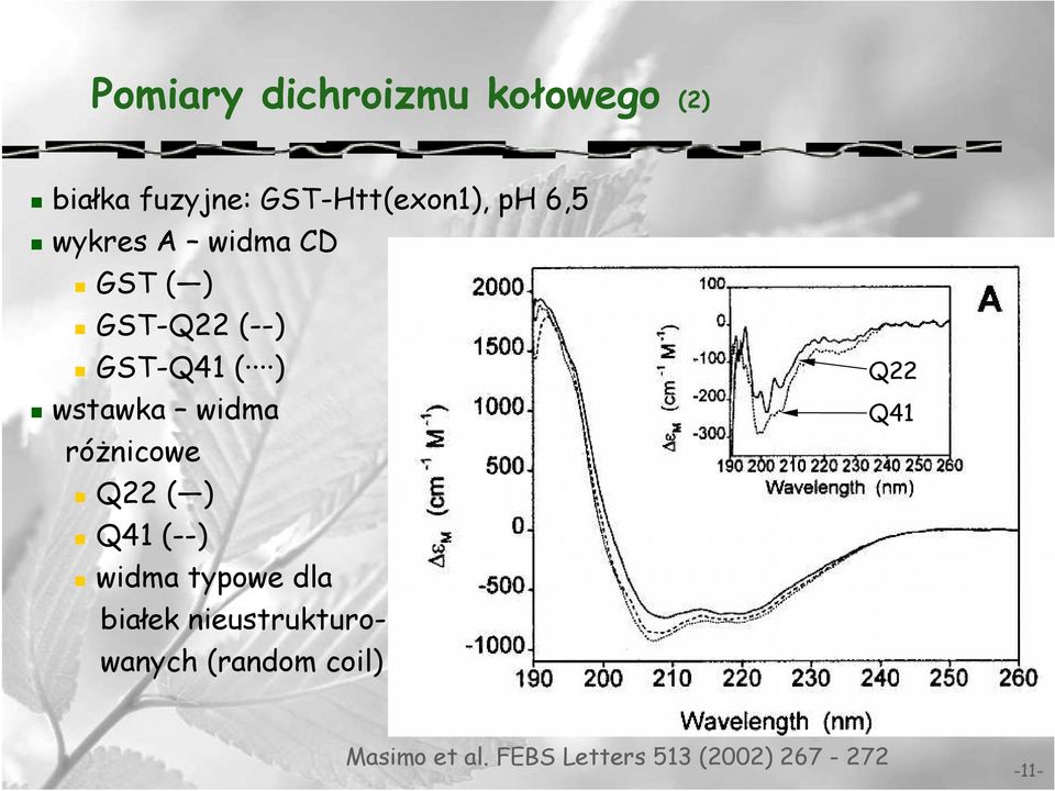 róŝnicowe Q22 ( ) Q41 (--) widma typowe dla białek