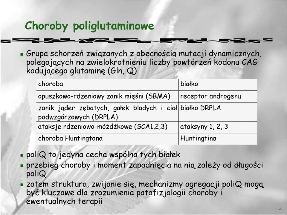 ataksje rdzeniowo-móŝdŝkowe (SCA1,2,3) ataksyny 1, 2, 3 choroba Huntingtona Huntingtina poliq to jedyna cecha wspólna tych białek przebieg choroby i moment zapadnięcia