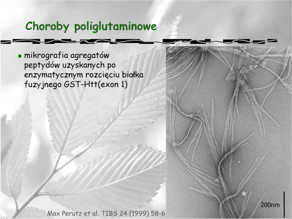 enzymatycznym rozcięciu białka fuzyjnego
