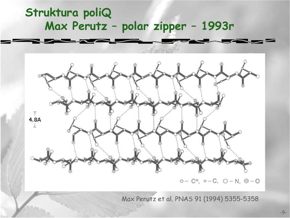1993r Max Perutz et al.