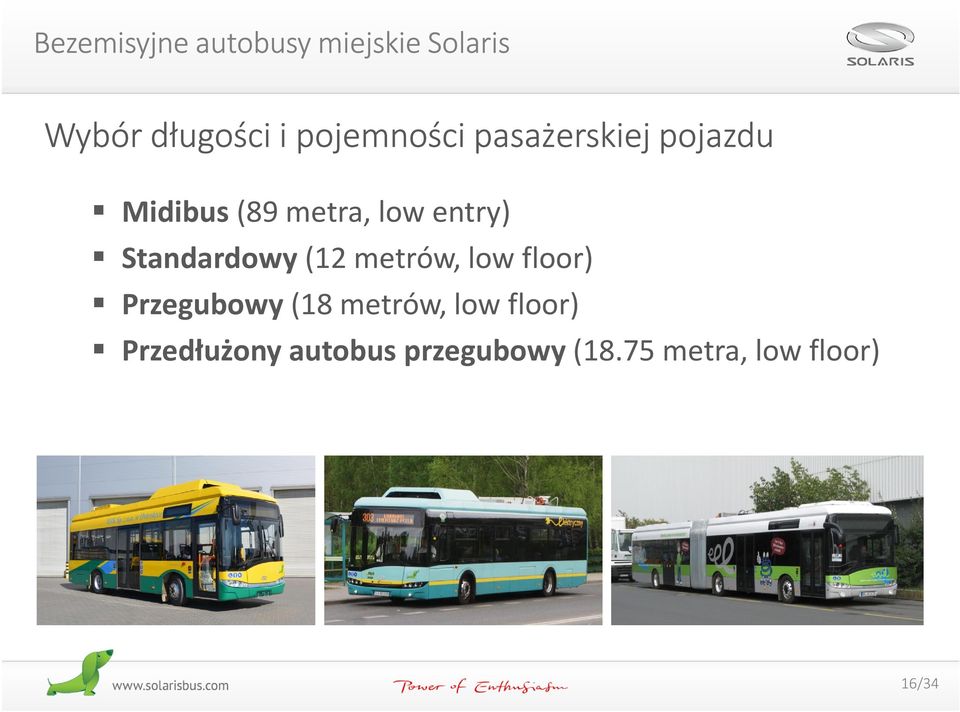 Standardowy (12 metrów, low floor) Przegubowy (18 metrów, low