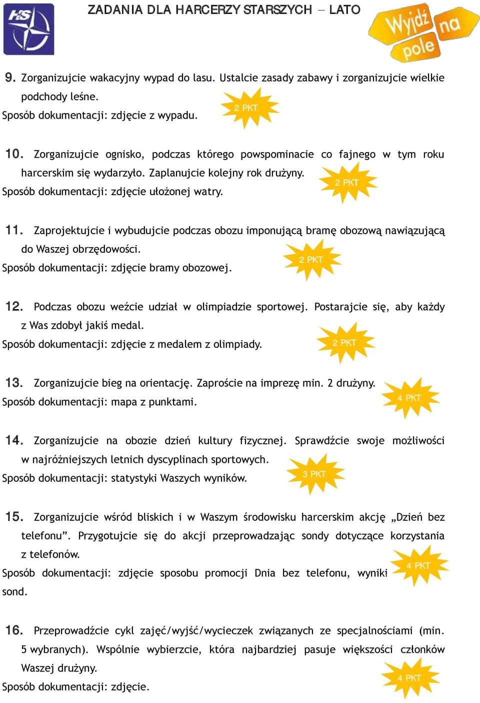 Zaprojektujcie i wybudujcie podczas obozu imponującą bramę obozową nawiązującą do Waszej obrzędowości. Sposób dokumentacji: zdjęcie bramy obozowej. 12.