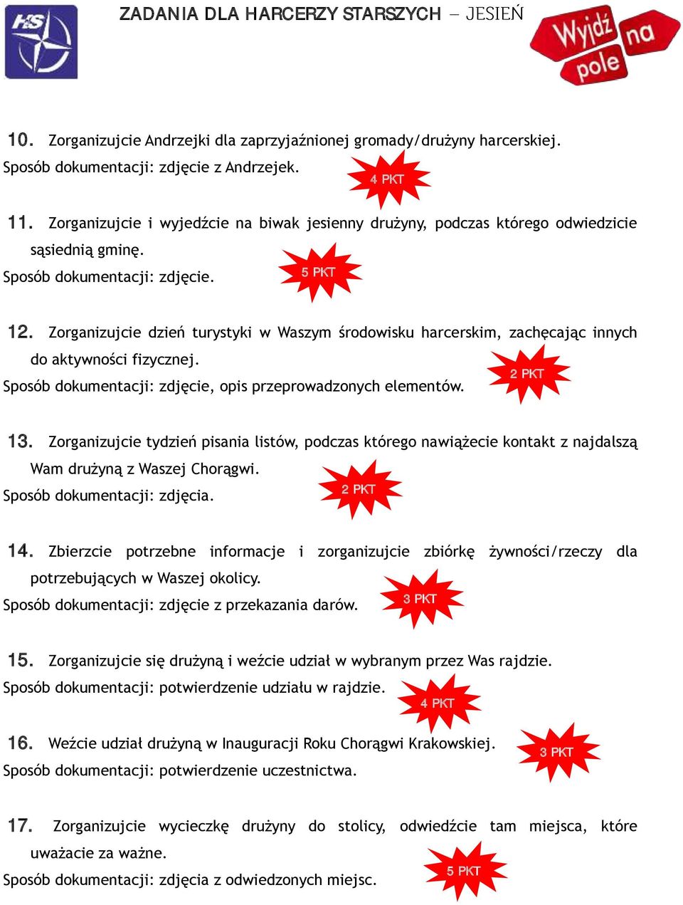 Zorganizujcie dzień turystyki w Waszym środowisku harcerskim, zachęcając innych do aktywności fizycznej. Sposób dokumentacji: zdjęcie, opis przeprowadzonych elementów. 13.