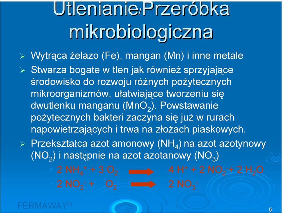 Powstawanie pożytecznych bakteri zaczyna się już w rurach napowietrzających i trwa na złożach piaskowych.