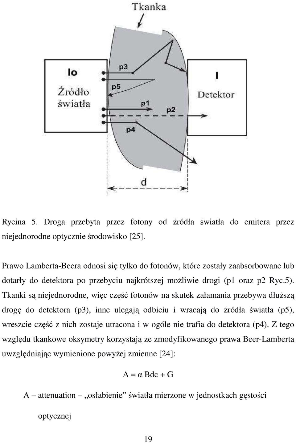 Tkanki są niejednorodne, więc część fotonów na skutek załamania przebywa dłuższą drogę do detektora (p3), inne ulegają odbiciu i wracają do źródła światła (p5), wreszcie część z nich