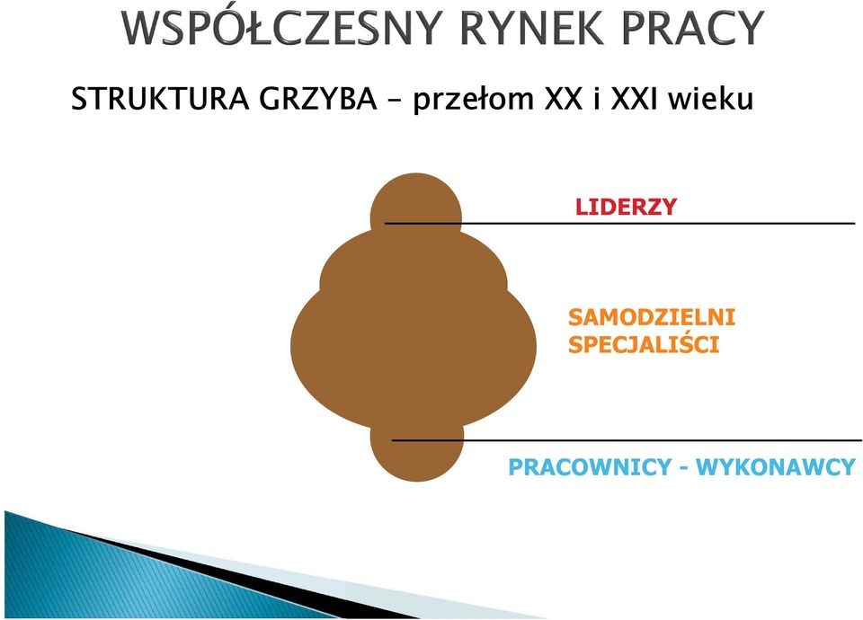 LIDERZY SAMODZIELNI
