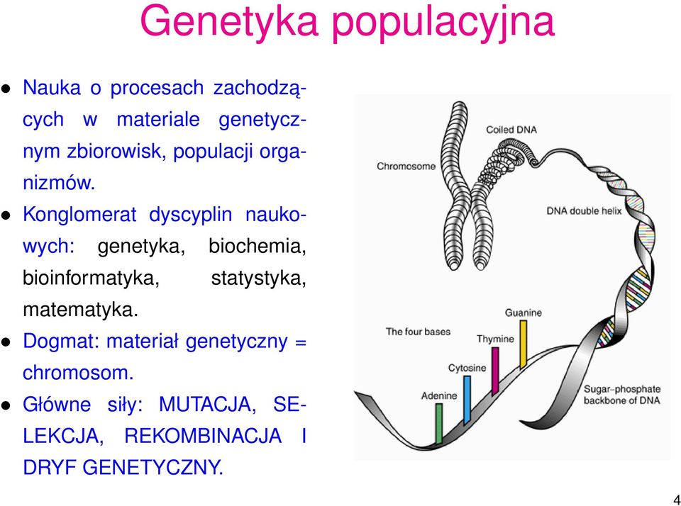 Konglomerat dyscyplin naukowych: genetyka, biochemia, bioinformatyka,