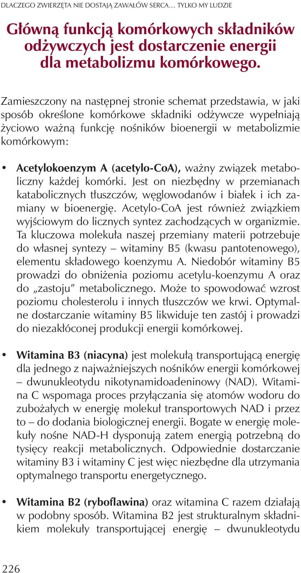 Acetylokoenzym A (acetylo-coa), wa ny zwi¹zek metaboliczny ka dej komórki. Jest on niezbêdny w przemianach katabolicznych t³uszczów, wêglowodanów i bia³ek i ich zamiany w bioenergiê.
