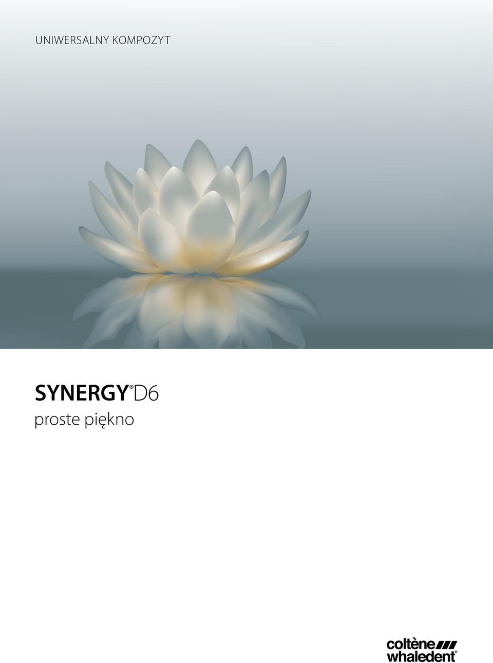 SYNERGY D6