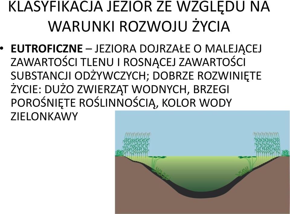 SUBSTANCJI ODŻYWCZYCH; DOBRZE ROZWINIĘTE ŻYCIE: DUŻO