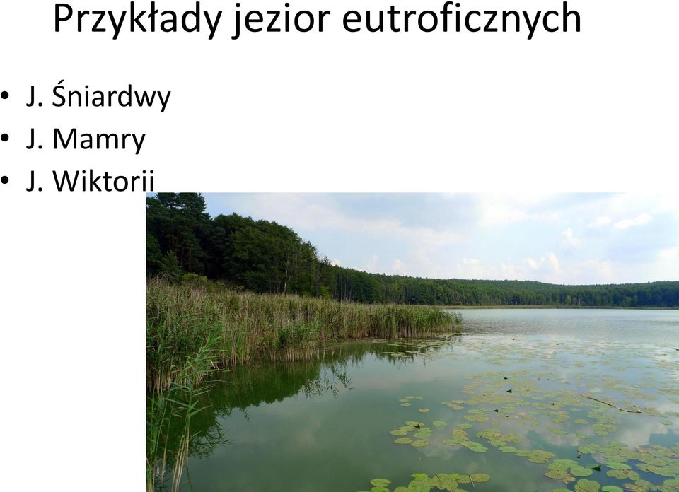 eutroficznych J.