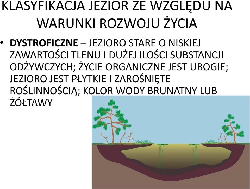 ODŻYWCZYCH; ŻYCIE ORGANICZNE JEST UBOGIE; JEZIORO JEST