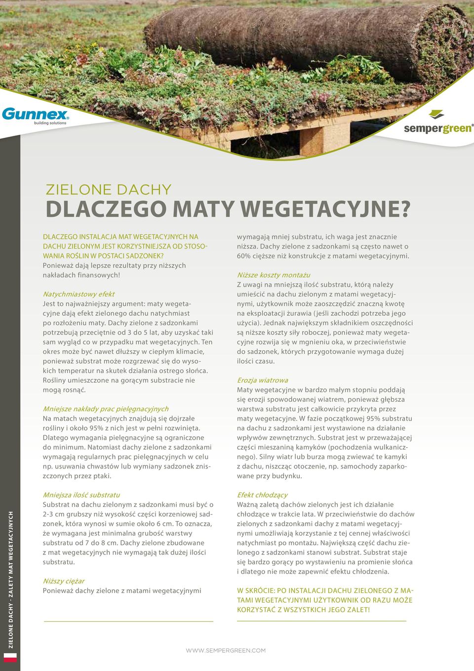 Dachy zielone z sadzonkami potrzebują przeciętnie od 3 do 5 lat, aby uzyskać taki sam wygląd co w przypadku mat wegetacyjnych.