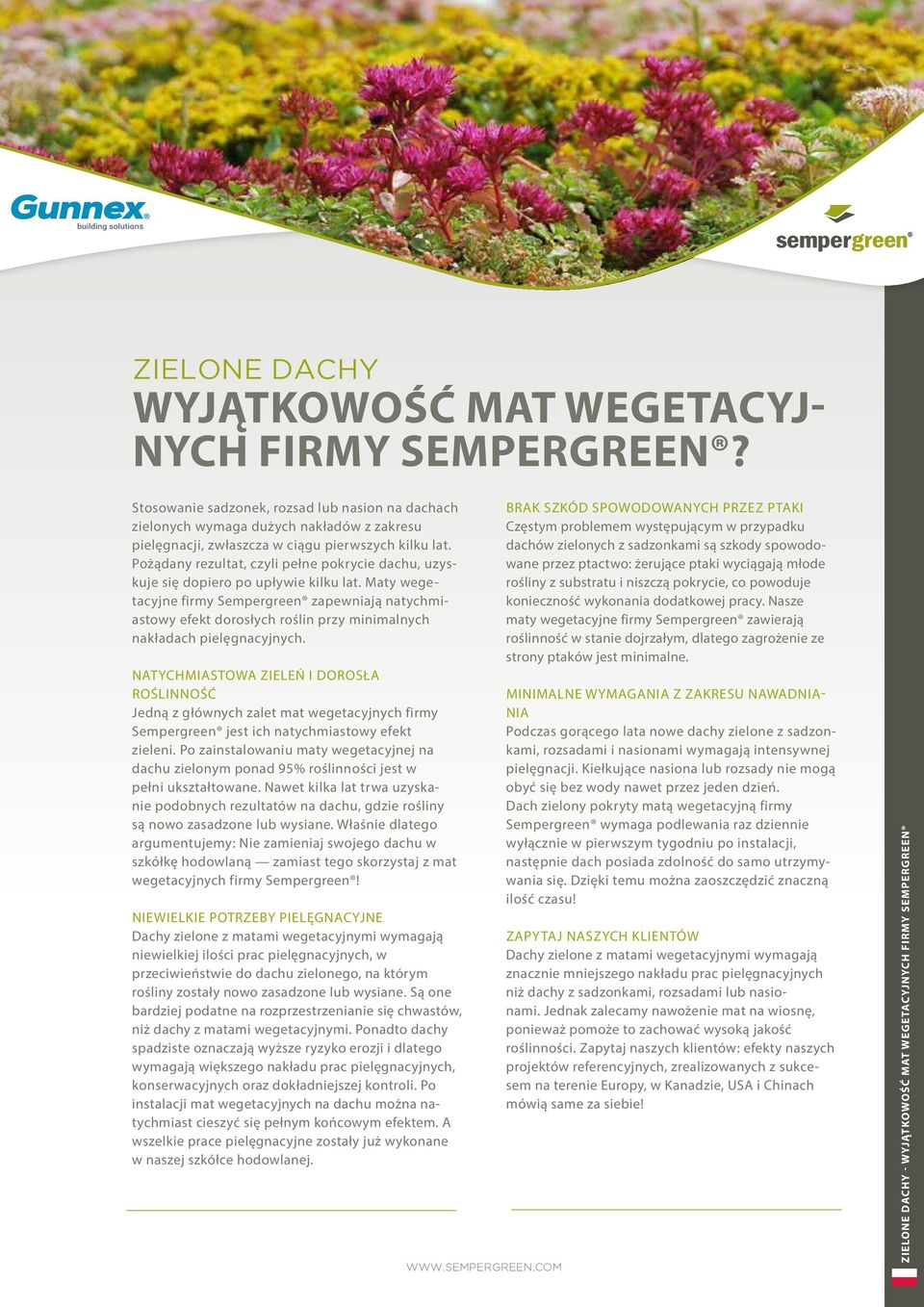 Maty wegetacyjne firmy Sempergreen zapewniają natychmiastowy efekt dorosłych roślin przy minimalnych nakładach pielęgnacyjnych.