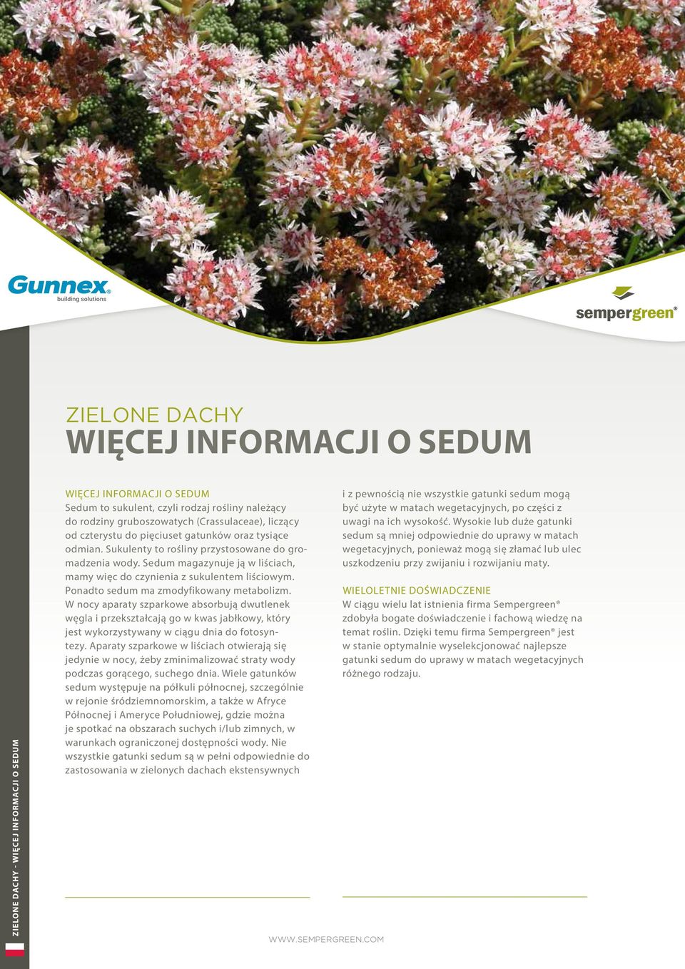 Ponadto sedum ma zmodyfikowany metabolizm. W nocy aparaty szparkowe absorbują dwutlenek węgla i przekształcają go w kwas jabłkowy, który jest wykorzystywany w ciągu dnia do fotosyntezy.