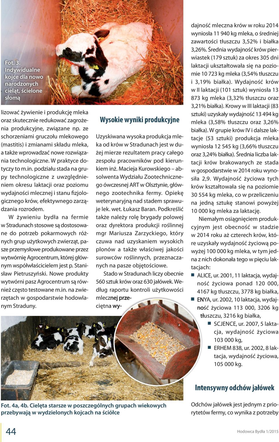 podziału stada na grupy technologiczne z uwzględnieniem okresu laktacji oraz poziomu wydajności mlecznej i stanu fizjologicznego krów, efektywnego zarządzania rozrodem.