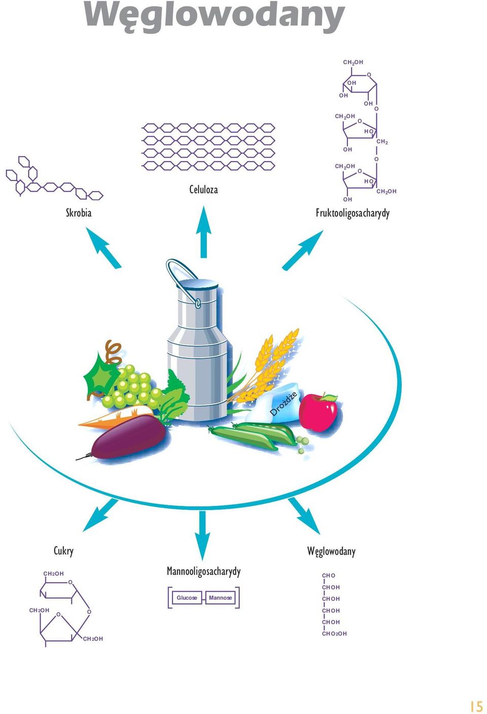 Cukry CH2H Mannooligosacharydy W glowodany CH