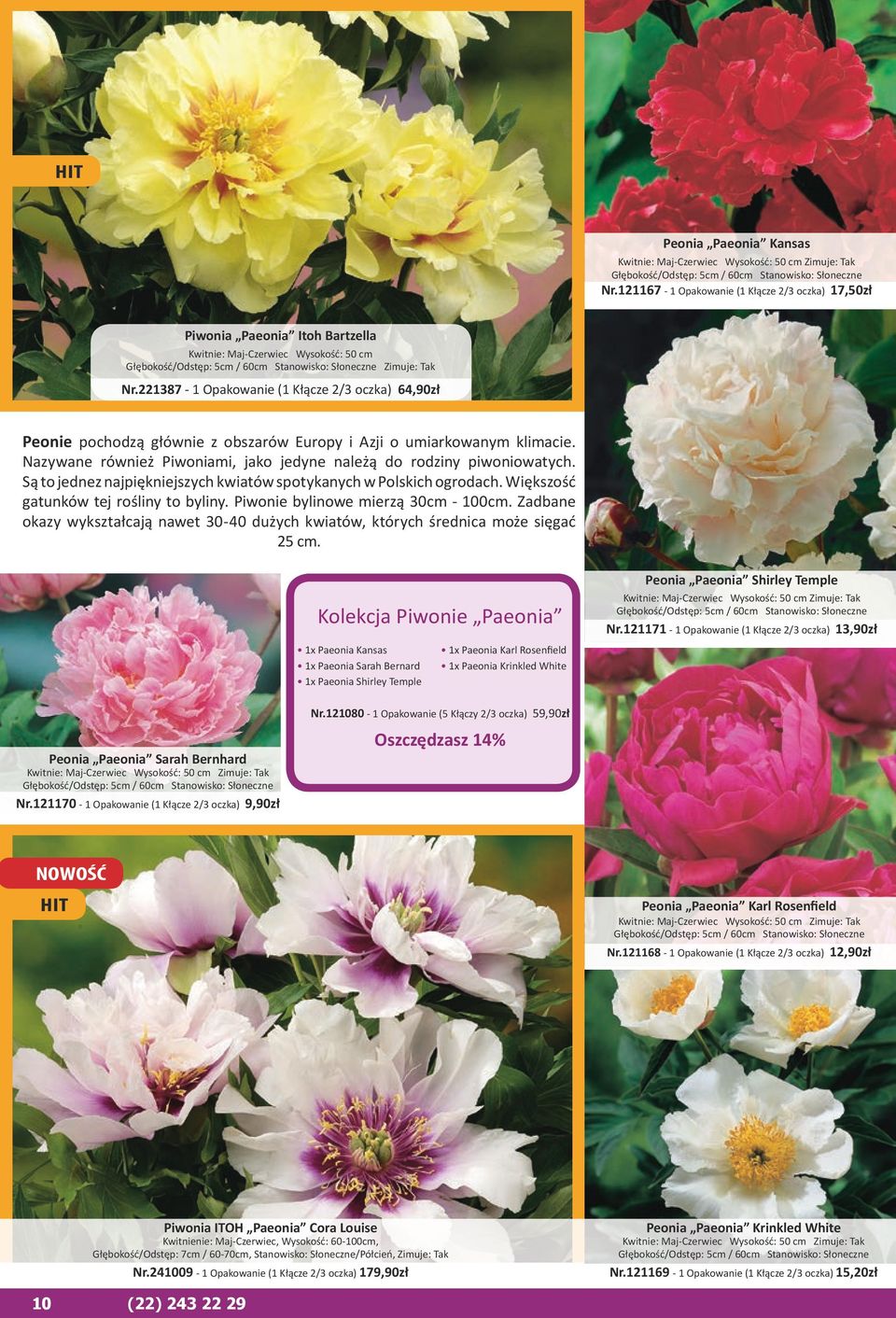 221387-1 Opakowanie (1 Kłącze 2/3 oczka) 64,90zł Peonie pochodzą głównie z obszarów Europy i Azji o umiarkowanym klimacie. Nazywane również Piwoniami, jako jedyne należą do rodziny piwoniowatych.