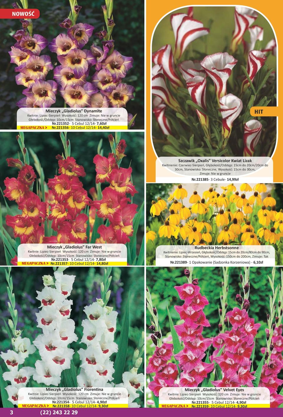 Nie w gruncie Nr.221385-3 Cebule- 14,99zł Mieczyk Gladiolus Far West Kwitnie: Lipiec-Sierpień Wysokość: 120 cm Zimuje: Nie w gruncie Głebokość/Odstęp: 10cm/15cm Stanowisko: Słoneczne/Półcień Nr.