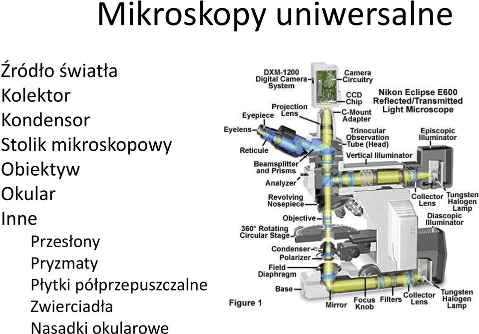 Obiektyw Okular Inne Przesłony Pryzmaty