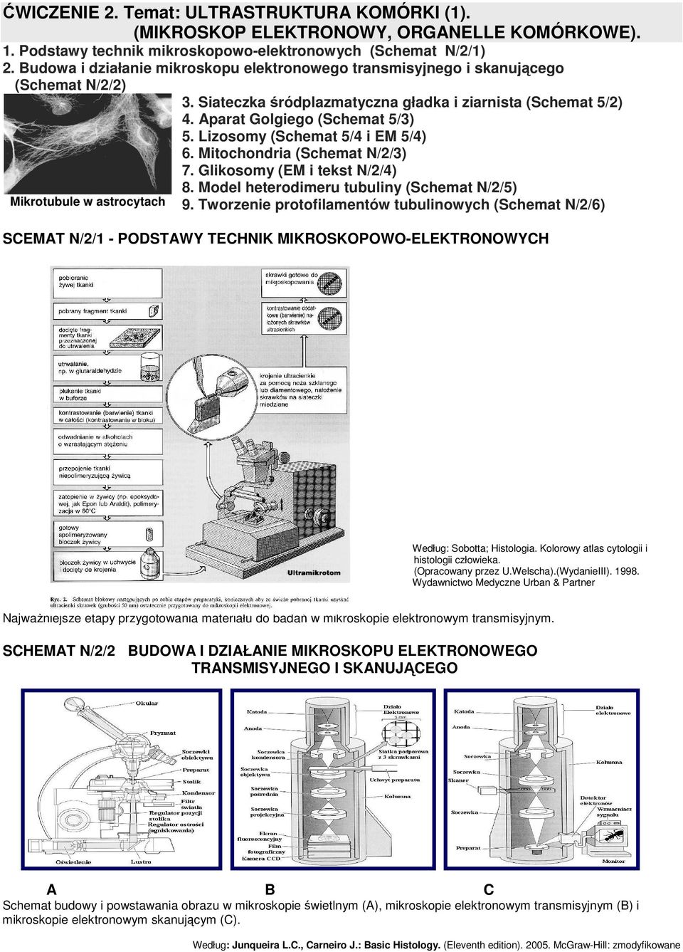 Aparat Golgiego (Schemat 5/3) 5. Lizosomy (Schemat 5/4 i EM 5/4) 6. Mitochondria (Schemat N/2/3) 7. Glikosomy (EM i tekst N/2/4) 8. Model heterodimeru tubuliny (Schemat N/2/5) 9.