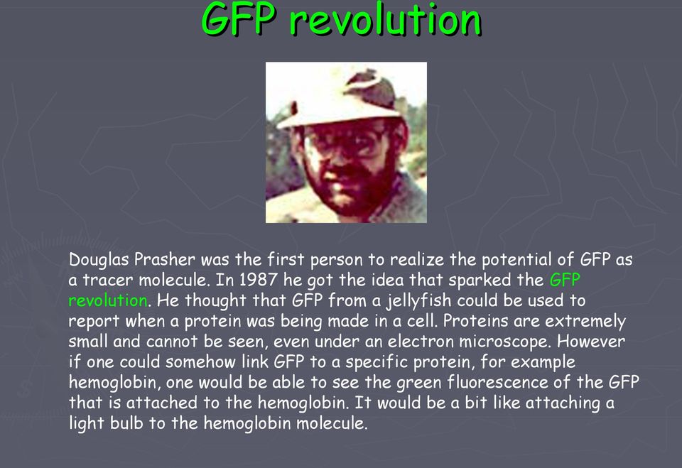He thought that GFP from a jellyfish could be used to report when a protein was being made in a cell.