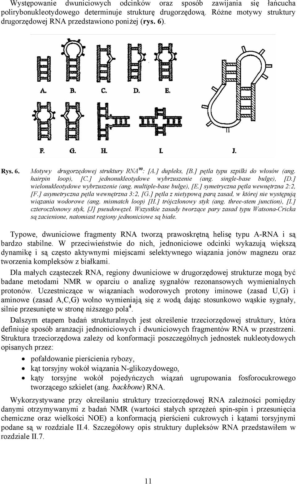 ] wielonukleotydowe wybrzuszenie (ang. multiple-base bulge), [E.] symetryczna pętla wewnętrzna 2:2, [F.] asymetryczna pętla wewnętrzna 3:2, [G.