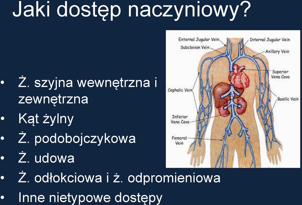 żylny Ż. podobojczykowa Ż. udowa Ż.