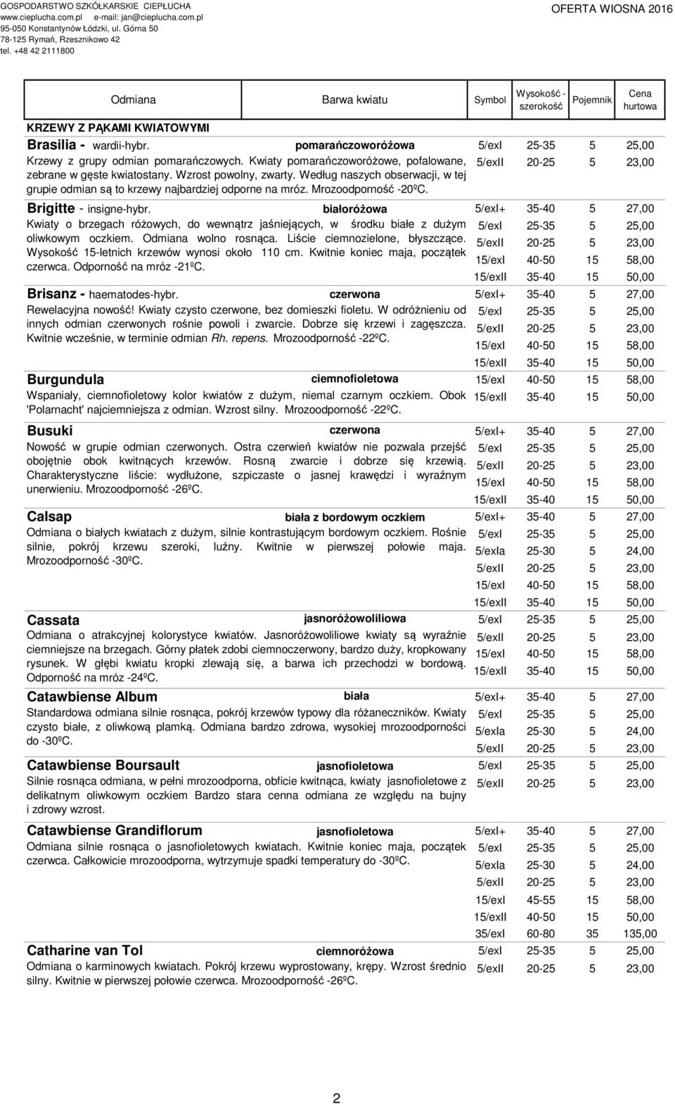 Mrozoodporność -20ºC. Brigitte - insigne-hybr. białoróżowa 5/exI+ 35-40 5 27,00 Kwiaty o brzegach różowych, do wewnątrz jaśniejących, w środku białe z dużym 5/exI 25-35 5 25,00 oliwkowym oczkiem.