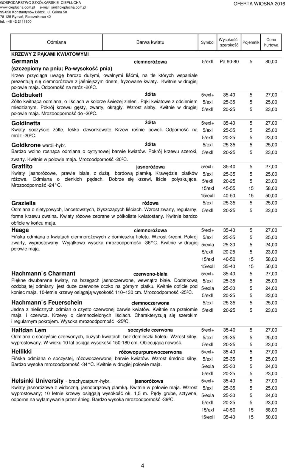 Goldbukett żółta 5/exI+ 35-40 5 27,00 Żółto kwitnąca odmiana, o liściach w kolorze świeżej zieleni. Pąki kwiatowe z odcieniem 5/exI 25-35 5 25,00 miedzianym. Pokrój krzewu gęsty, zwarty, okrągły.