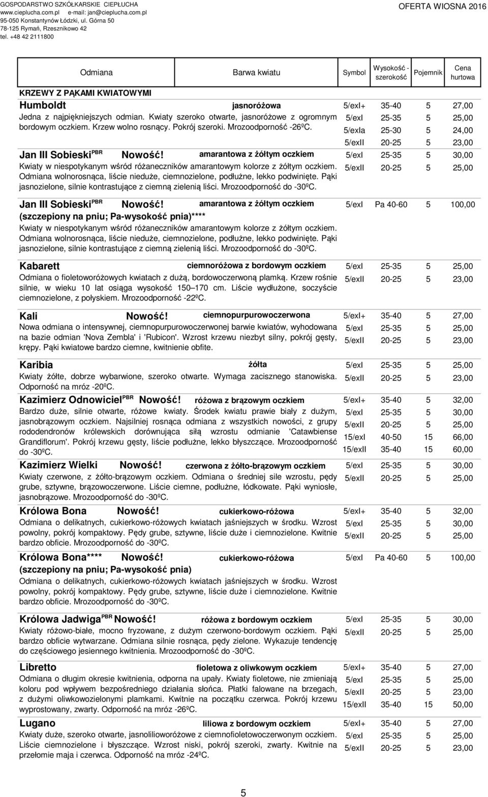 amarantowa z żółtym oczkiem 5/exI 25-35 5 30,00 Kwiaty w niespotykanym wśród różaneczników amarantowym kolorze z żółtym oczkiem.
