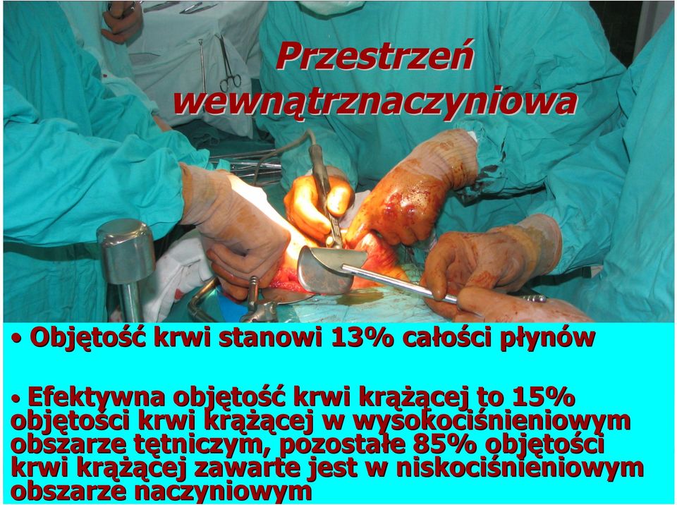 krążącej w wysokociśnieniowym obszarze tętniczym, pozostałe 85%