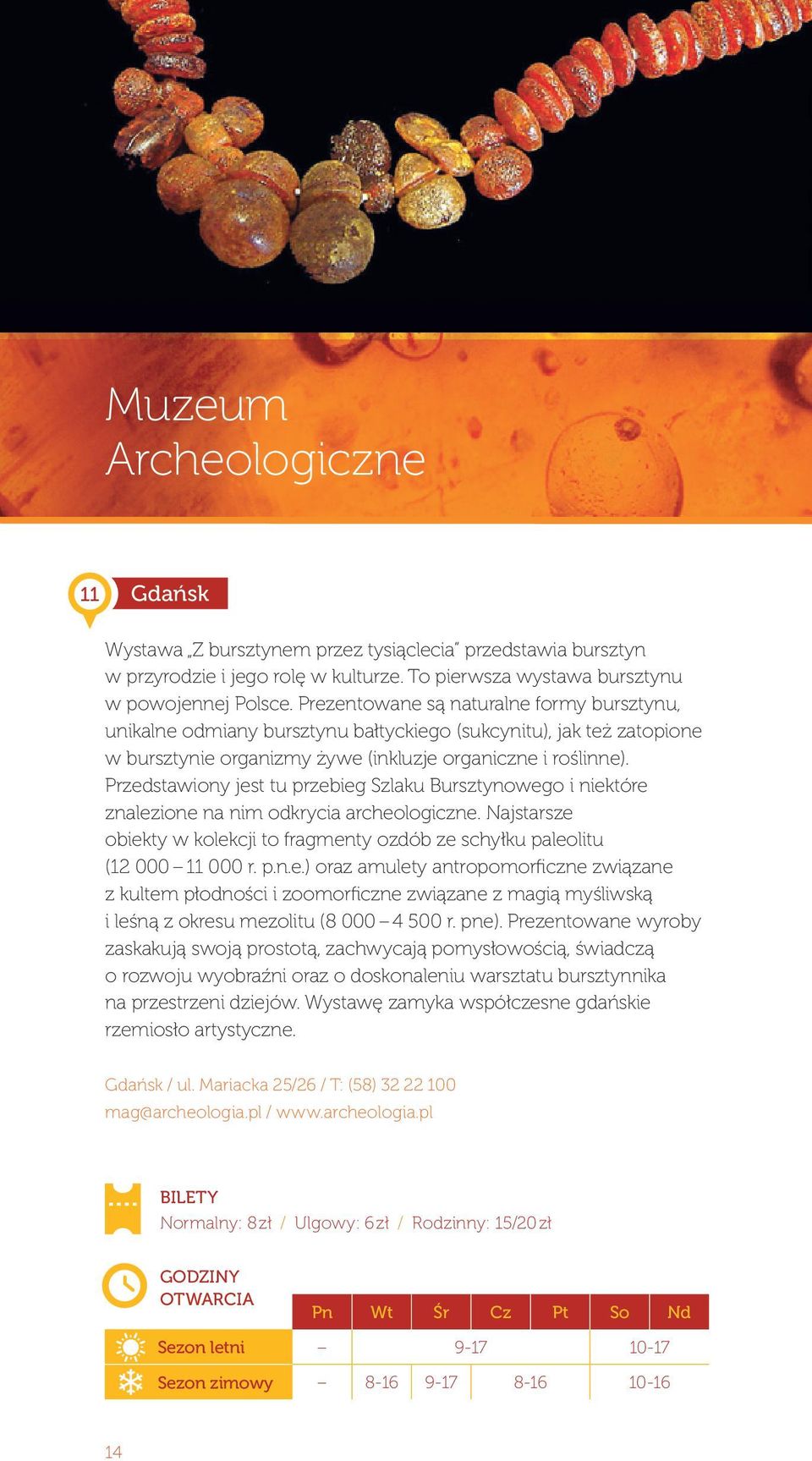 Przedstawiony jest tu przebieg Szlaku Bursztynowego i niektóre znalezione na nim odkrycia archeologiczne. Najstarsze obiekty w kolekcji to fragmenty ozdób ze schyłku paleolitu (12 000 11 000 r. p.n.e.) oraz amulety antropomorficzne związane z kultem płodności i zoomorficzne związane z magią myśliwską i leśną z okresu mezolitu (8 000 4 500 r.