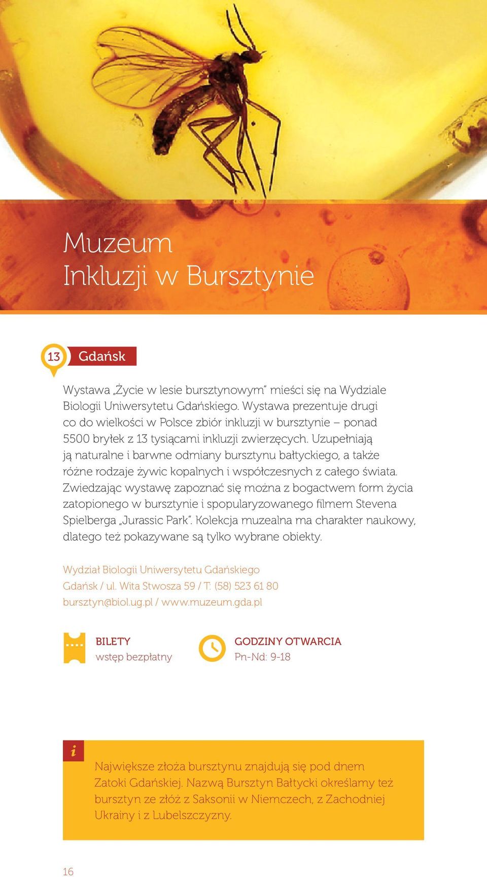 Uzupełniają ją naturalne i barwne odmiany bursztynu bałtyckiego, a także różne rodzaje żywic kopalnych i współczesnych z całego świata.