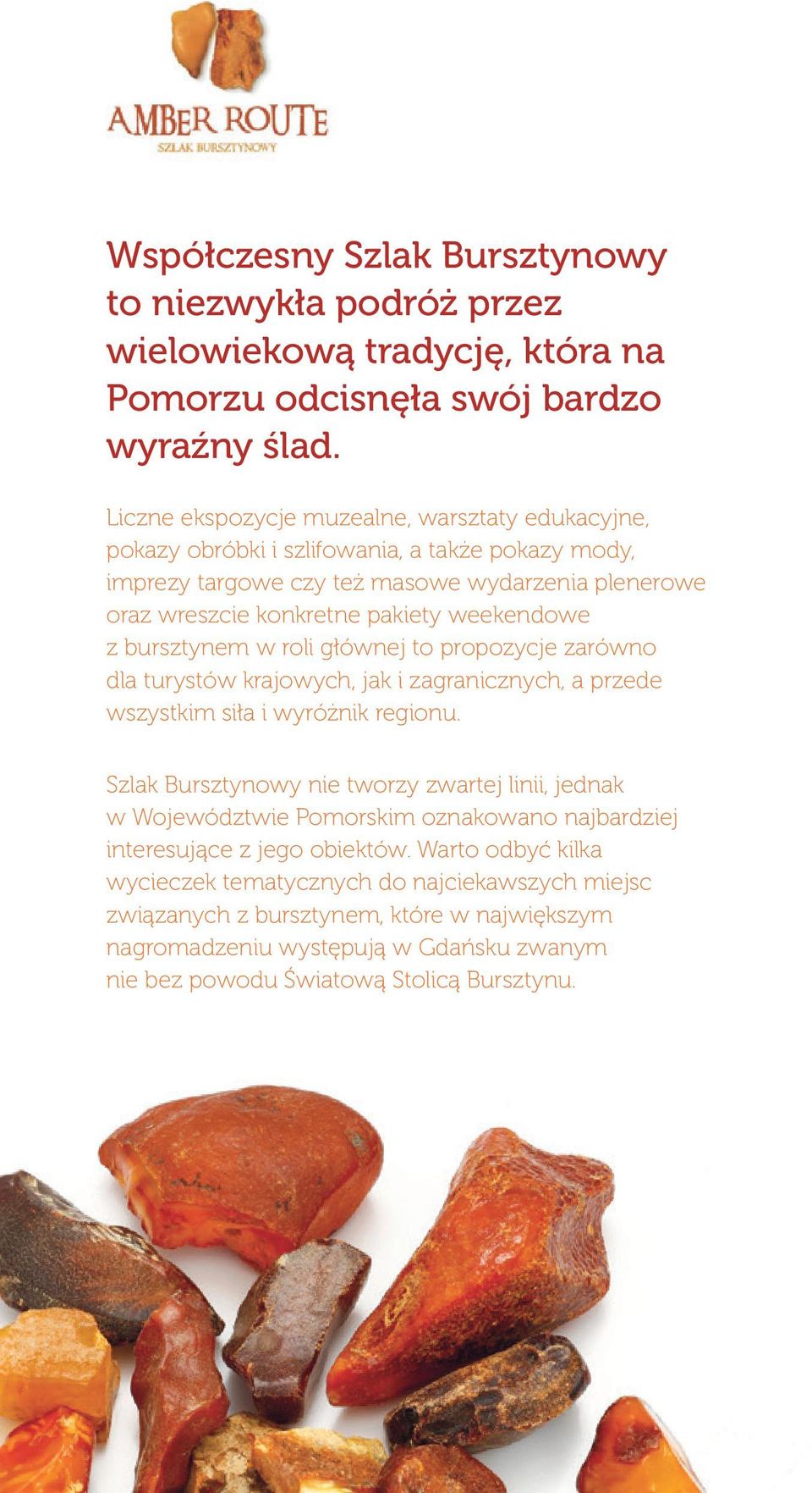 bursztynem w roli głównej to propozycje zarówno dla turystów krajowych, jak i zagranicznych, a przede wszystkim siła i wyróżnik regionu.