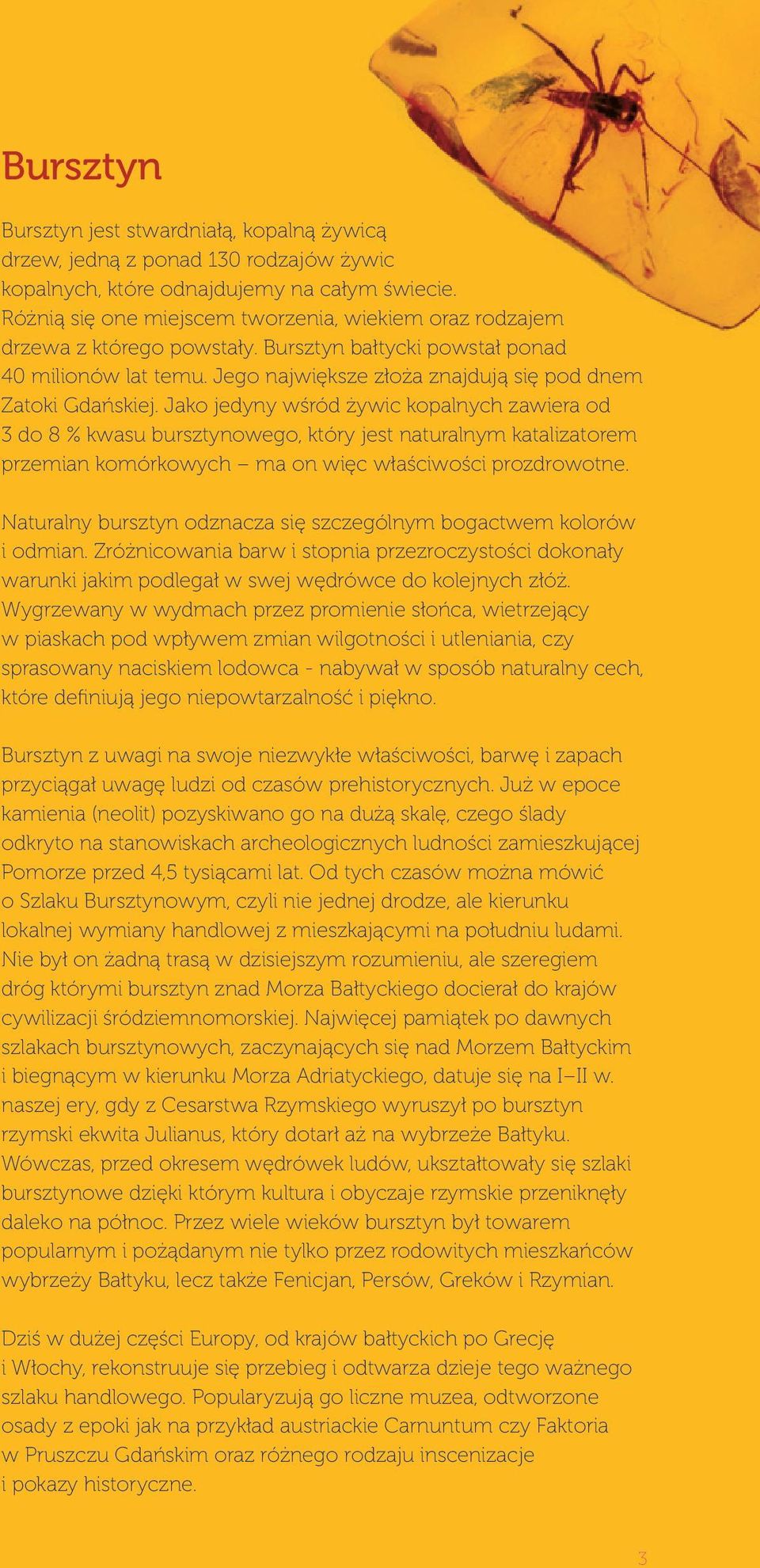 Jako jedyny wśród żywic kopalnych zawiera od 3 do 8 % kwasu bursztynowego, który jest naturalnym katalizatorem przemian komórkowych ma on więc właściwości prozdrowotne.