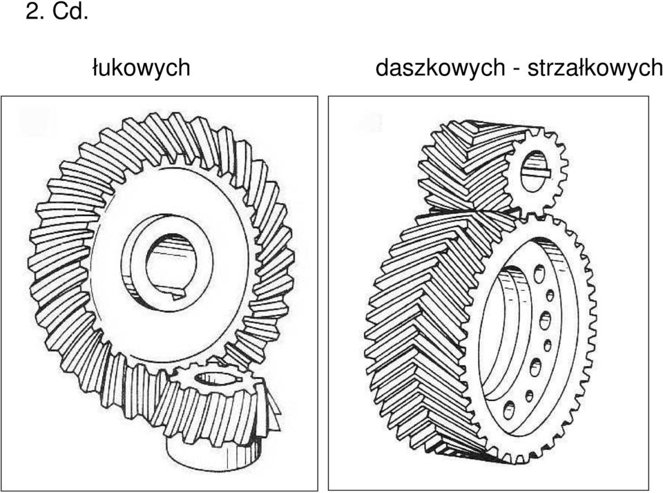 daszkowych