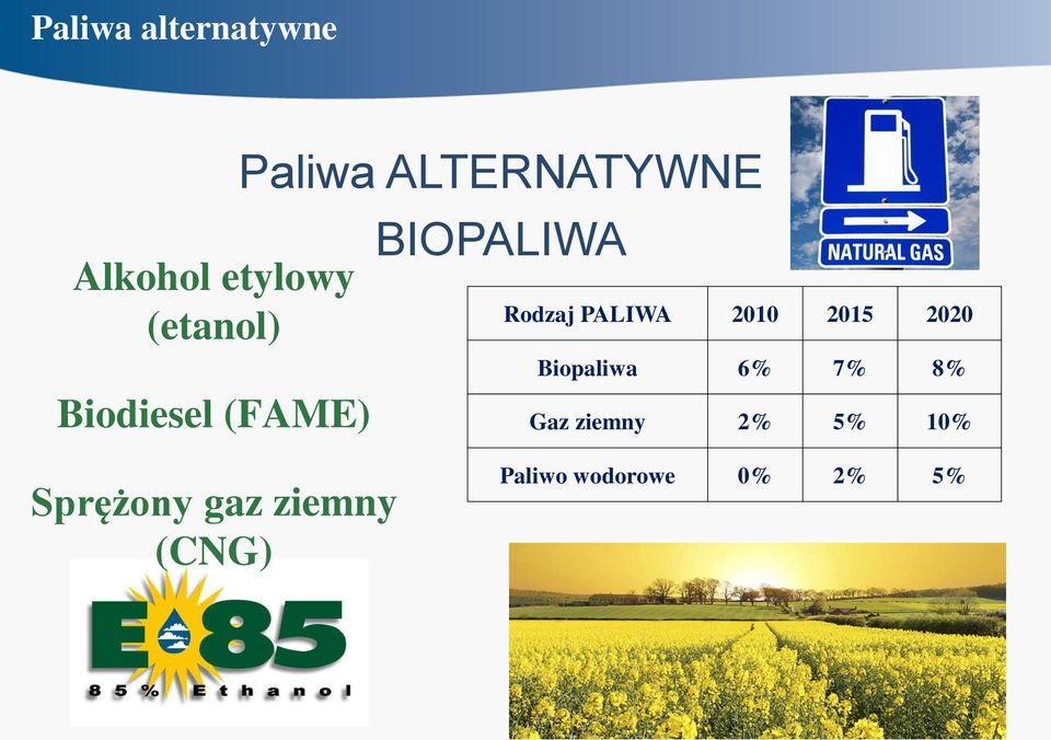 Rodzaj PALIWA 2010 2015 2020 Biopaliwa 6% 7% 8% Gaz