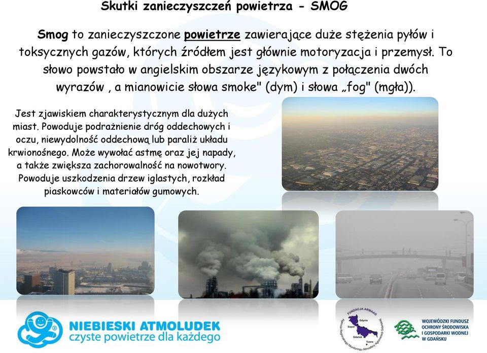 Jest zjawiskiem charakterystycznym dla dużych miast. Powoduje podrażnienie dróg oddechowych i oczu, niewydolność oddechową lub paraliż układu krwionośnego.