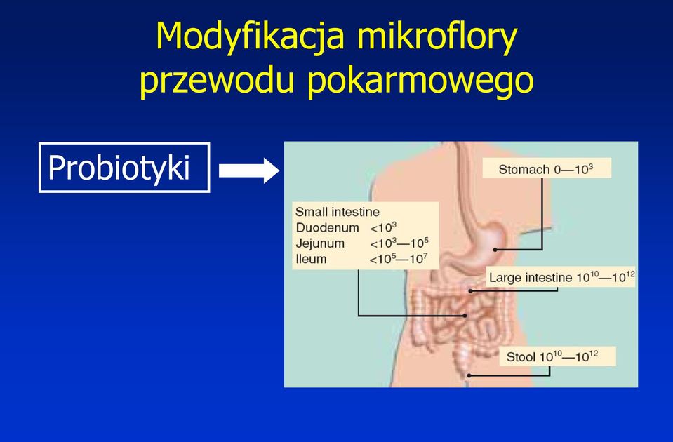 przewodu