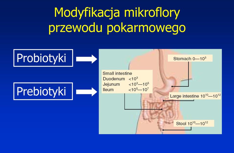 przewodu