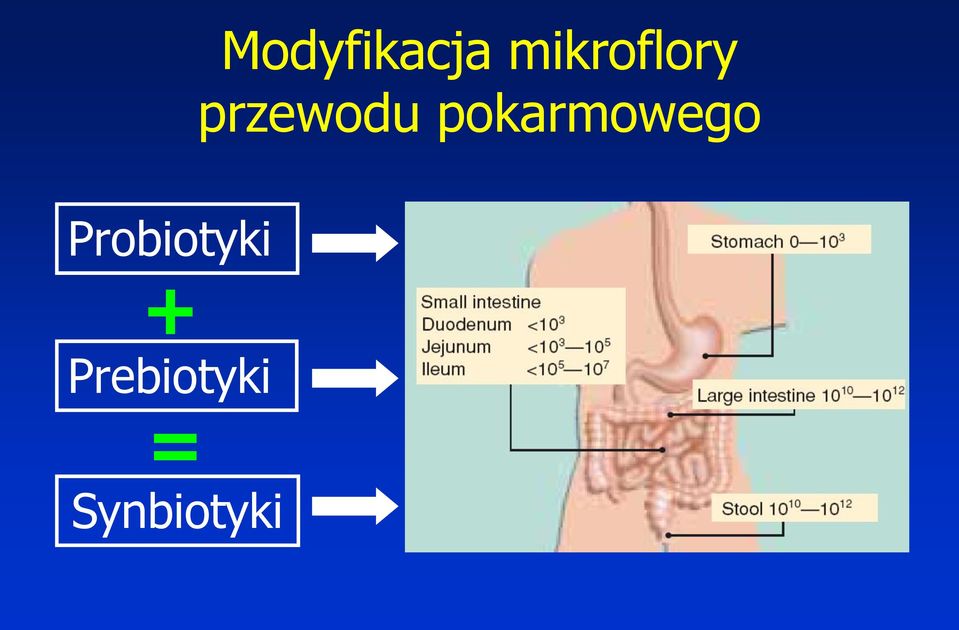 pokarmowego